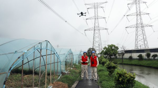 巨牛盈 “竹节草”逼近，上海筑牢供电防御屏障