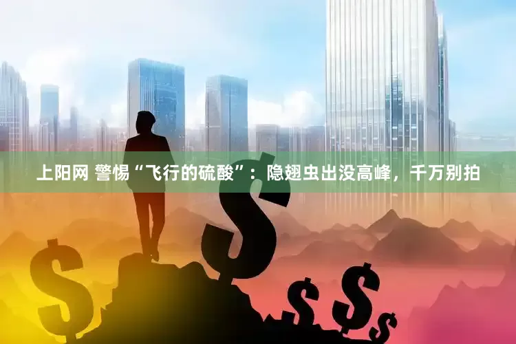 上阳网 警惕“飞行的硫酸”：隐翅虫出没高峰，千万别拍